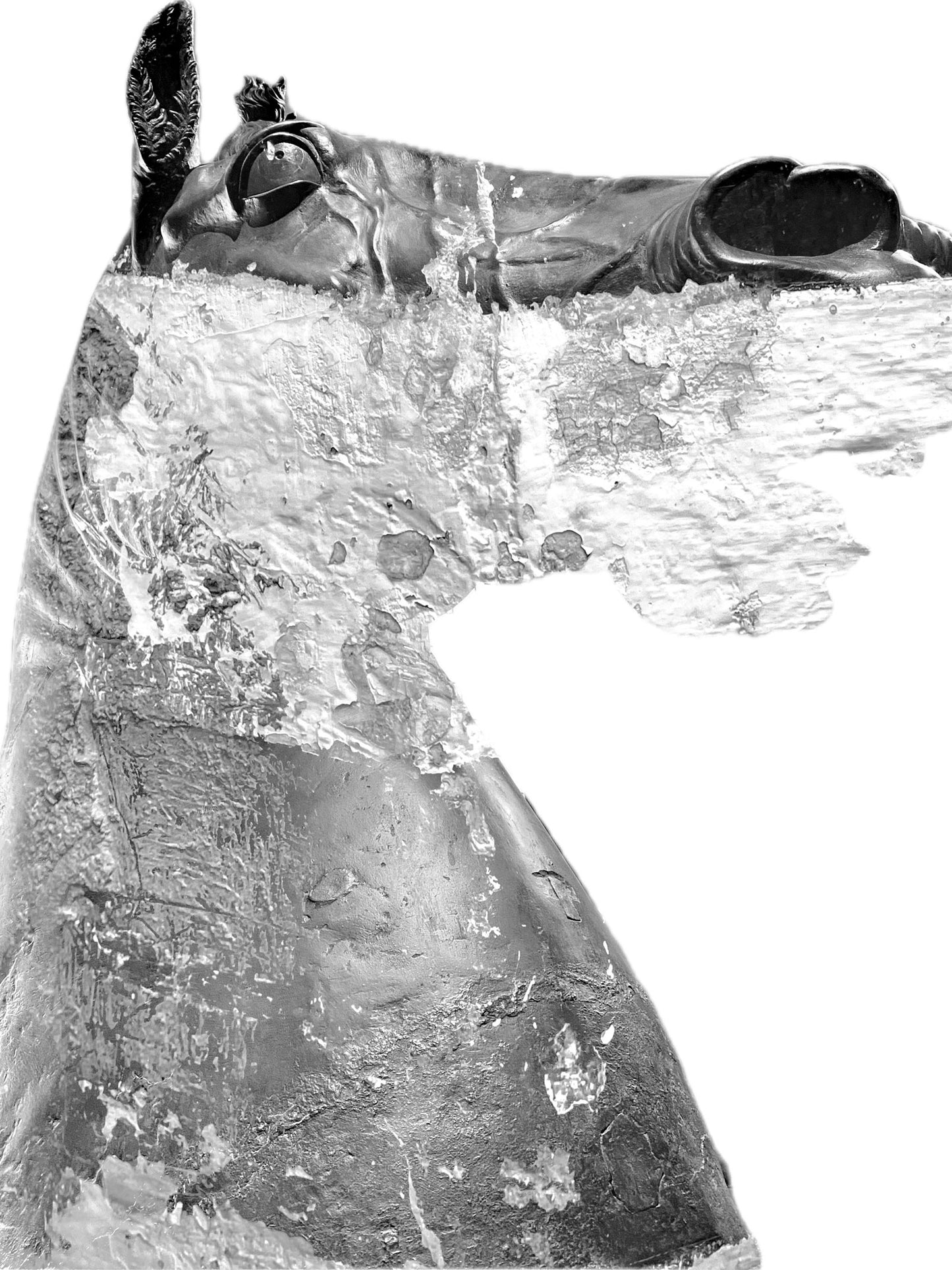 Stampa digitale su tela ABC#81-34 “Il Gigante”