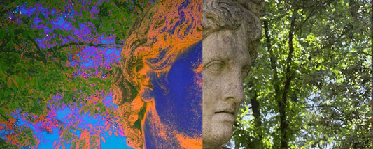 Transforming Light Without Altering Form