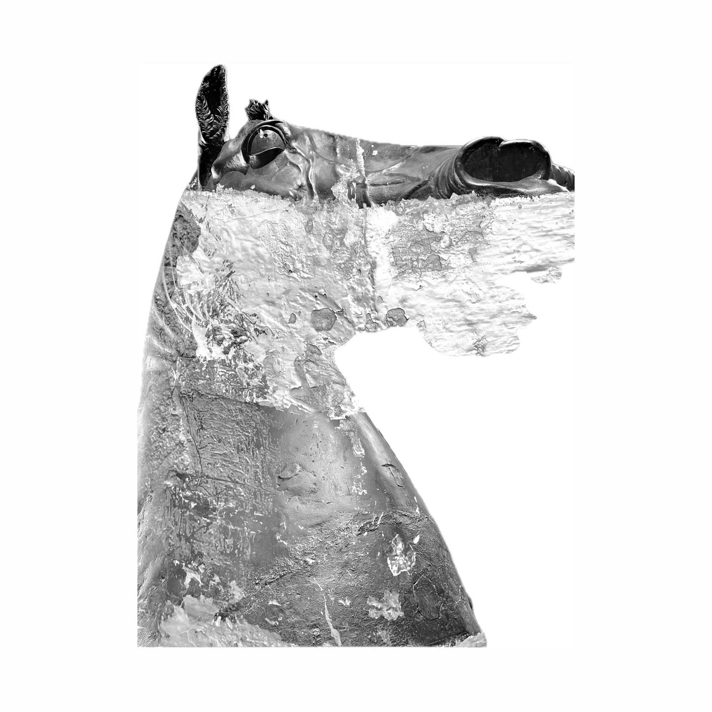 Stampa digitale su tela ABC#81-34 “Il Gigante”