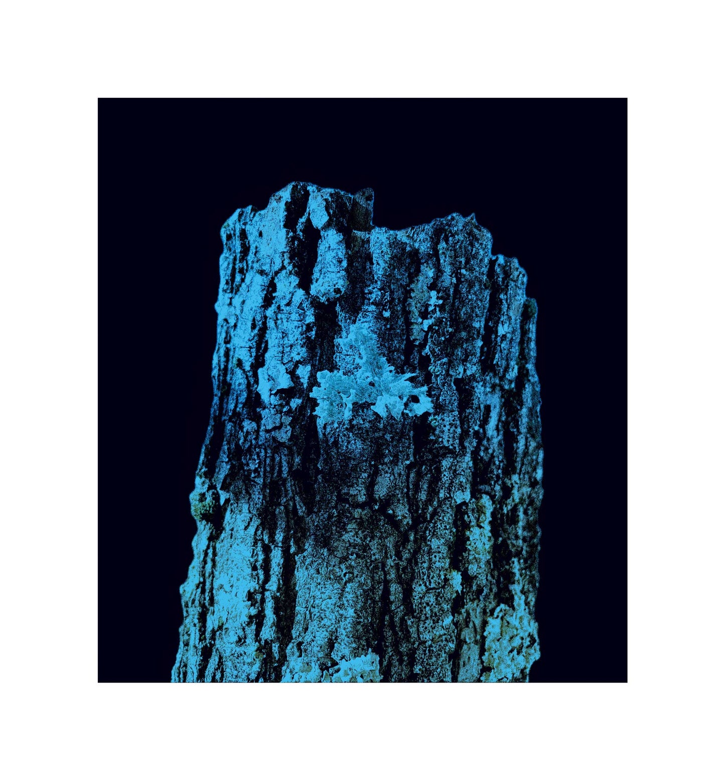 Stampa digitale su tela ABC#81-34 “Il Gigante”